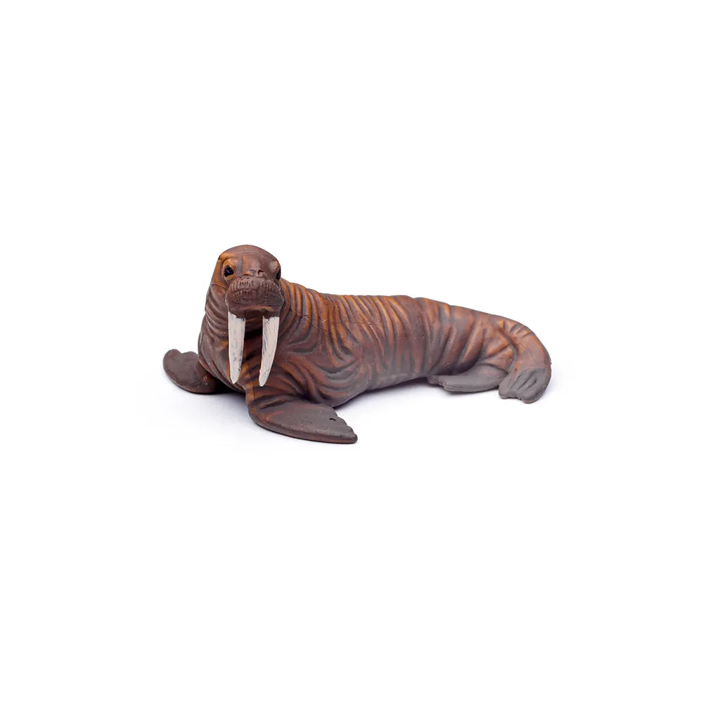 CollectA Box of Mini Sea Animals