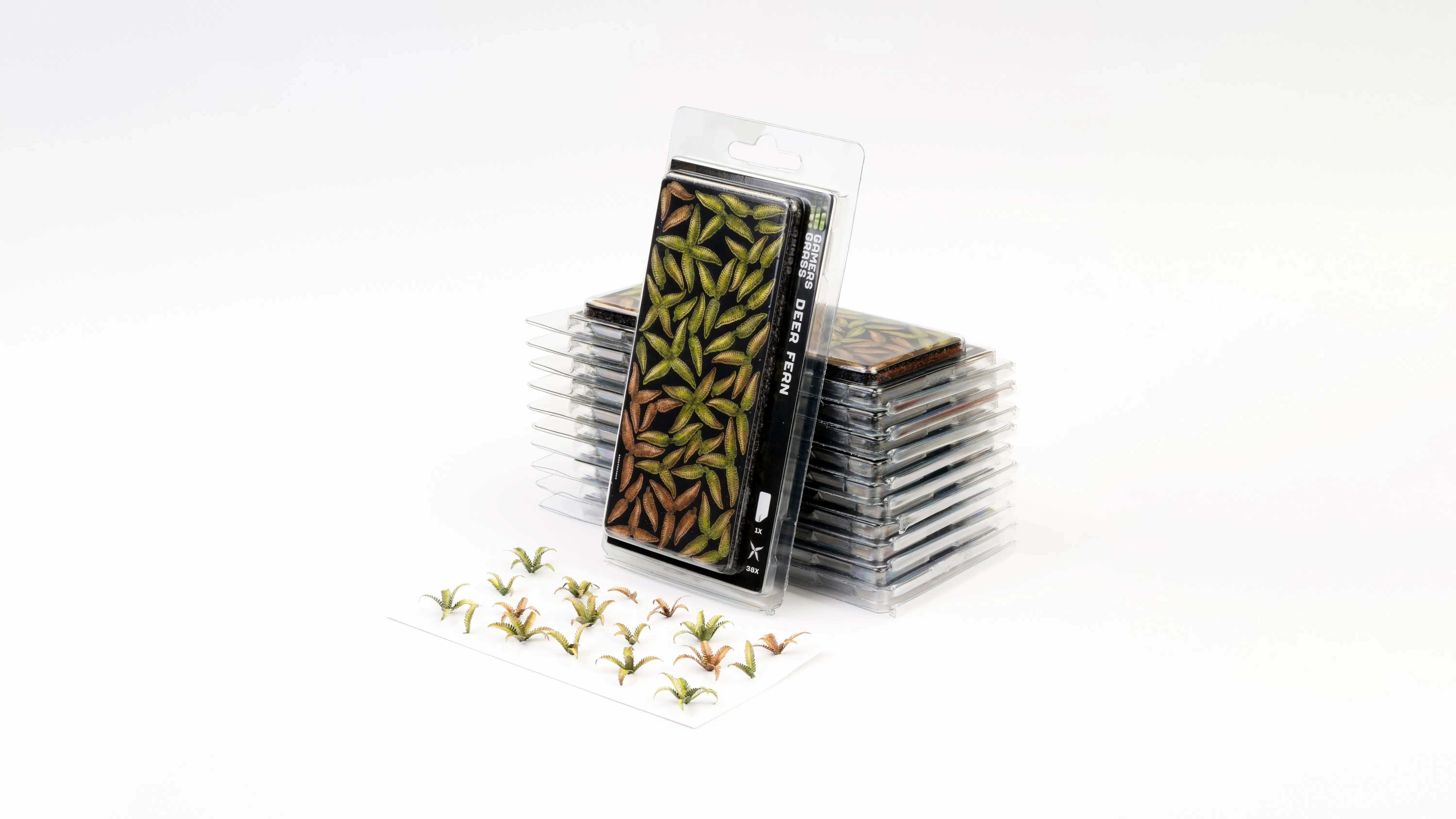 Gamers Grass  Deer Fern