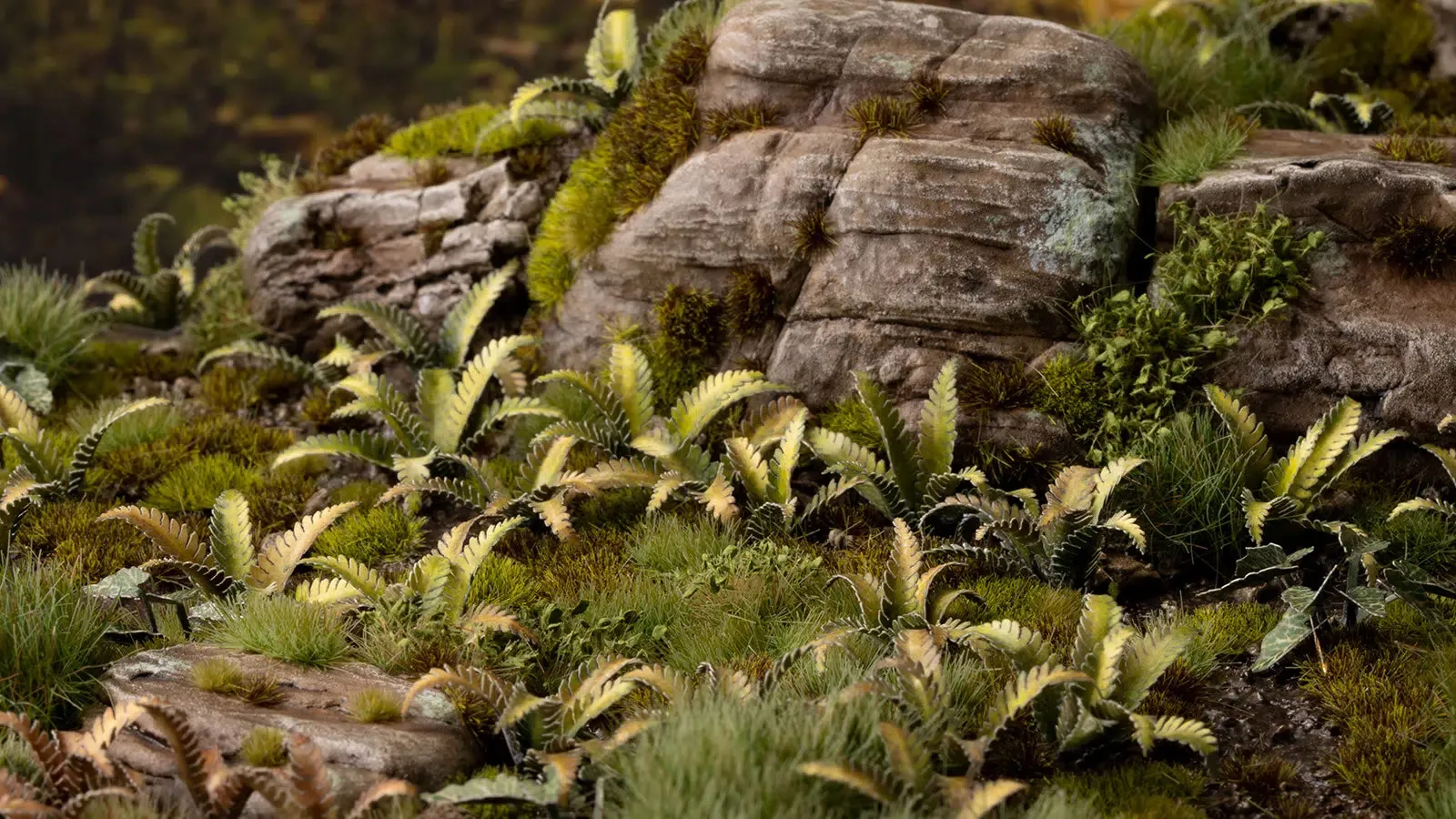 Gamers Grass  Deer Fern
