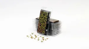 Gamers Grass  Deer Fern