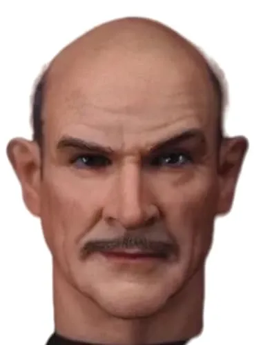 HiPlay 1:6 Scale Male Head Sculpt, Anime Style Design Head Sculpture for 12-inch Action Figures H001