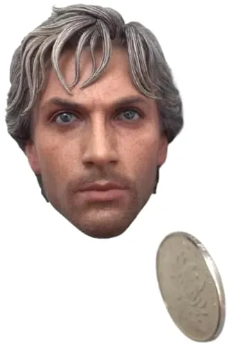 HiPlay 1:6 Scale Male Head Sculpt, Anime Style Design Head Sculpture for 12-inch Action Figures H001