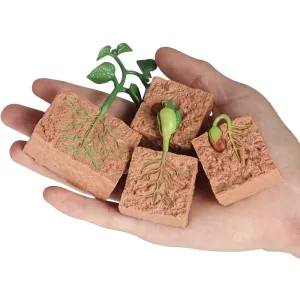 PVC Simulation Insect Plant Growth Seed Solid Soybean Toy Figures Mini Figures Toy Science Education for Baby Early Toy Gift