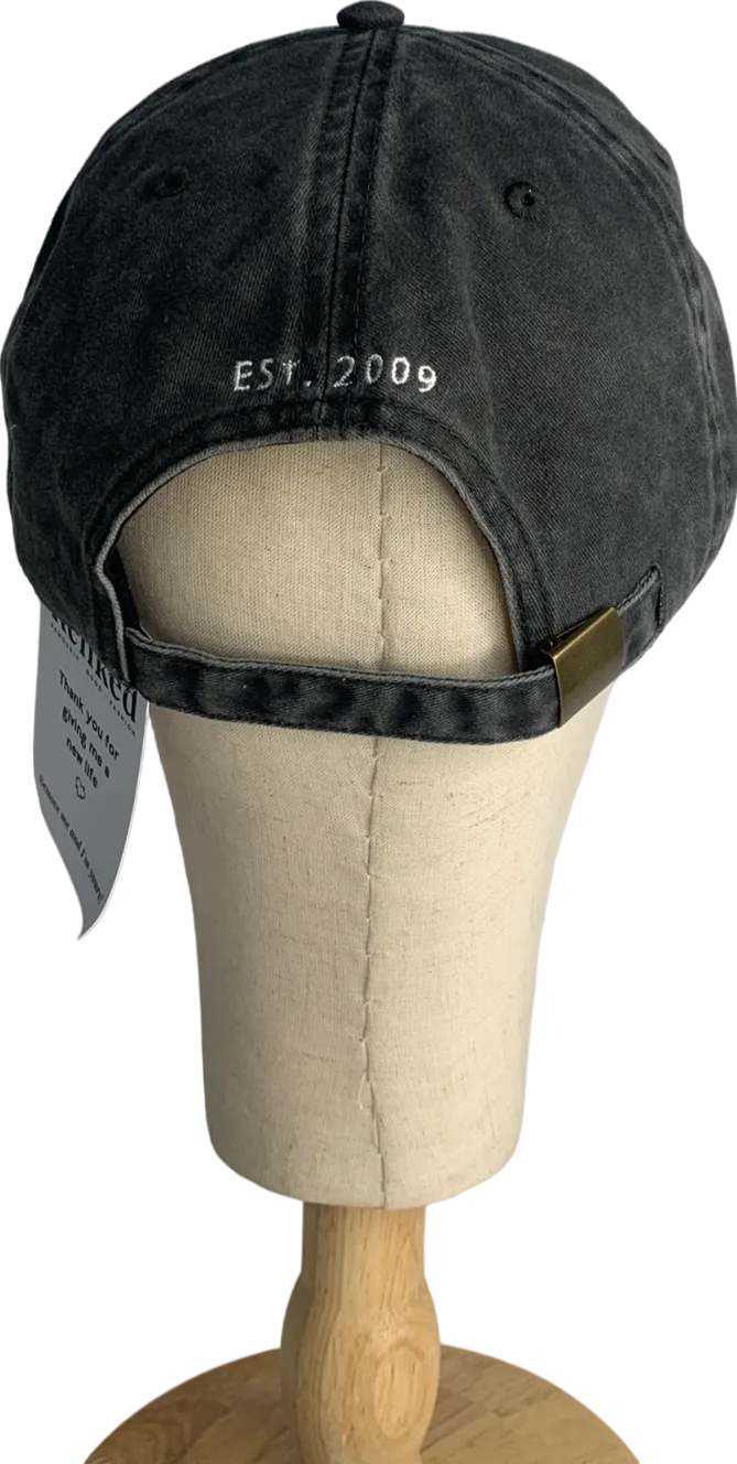 Rails Grey Anniversary Baseball Cap One Size