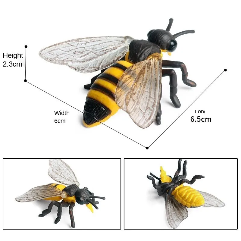 Simulation Animals Insect Bee Growth Cycle Action Figures Model Educational Cognitive Collection Cute Kids Toys Christmas Gifts