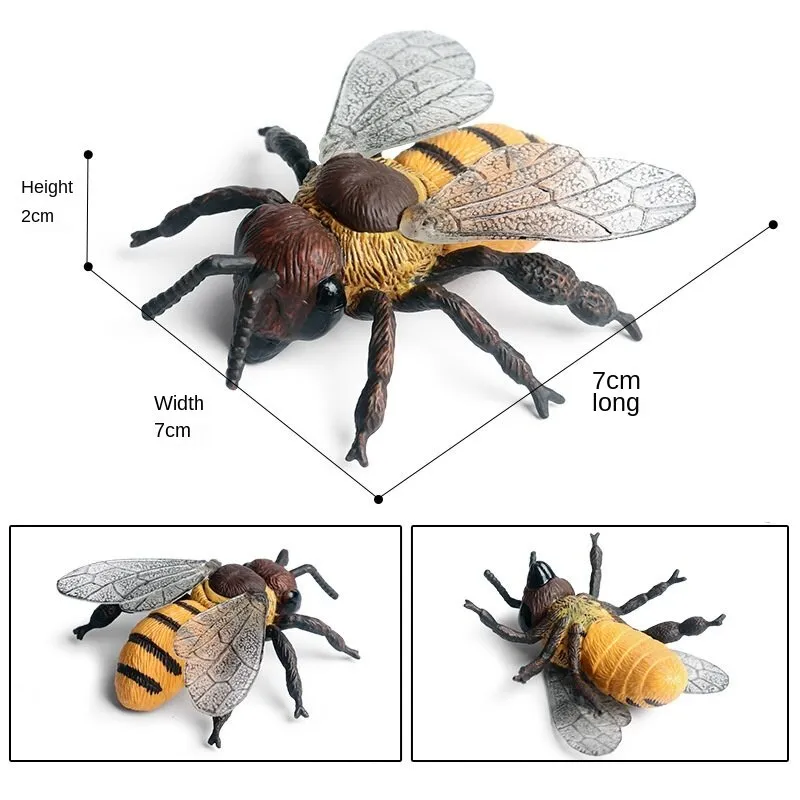 Simulation Animals Insect Bee Growth Cycle Action Figures Model Educational Cognitive Collection Cute Kids Toys Christmas Gifts